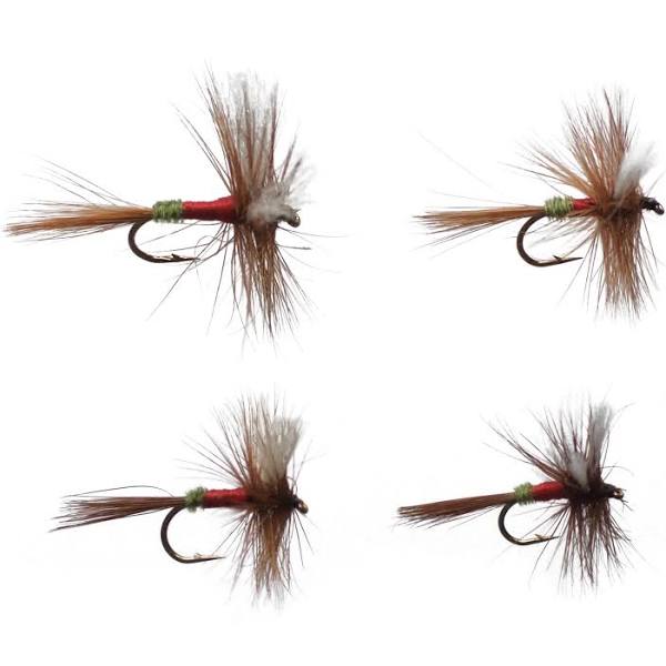 Royal Wulff Assortment Flies