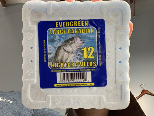 Nightcrawlers 12 count