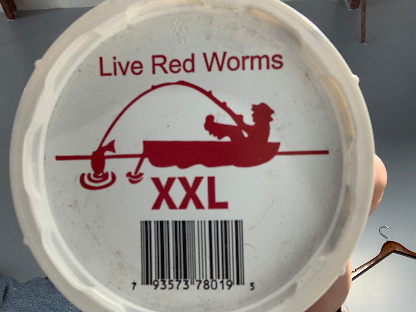 Live red worms XXL cup
